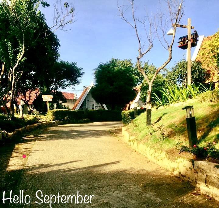 Vanda Garden Hill Hostel Da Lat Kültér fotó